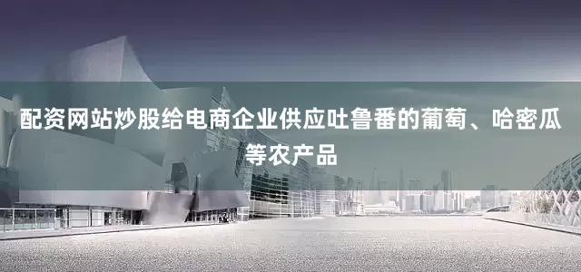 配资网站炒股给电商企业供应吐鲁番的葡萄、哈密瓜等农产品